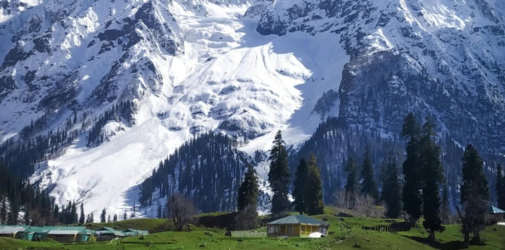 Breathtaking view of snow-capped mountains and lush green meadows in Sonamarg, Kashmir, showcasing the stunning natural beauty of the Himalayas
