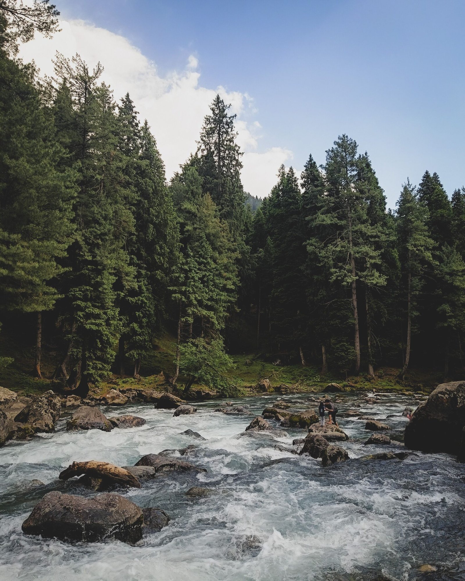 Glacier-fed Lidder River flowing through pine forests in Pahalgam, Kashmir.